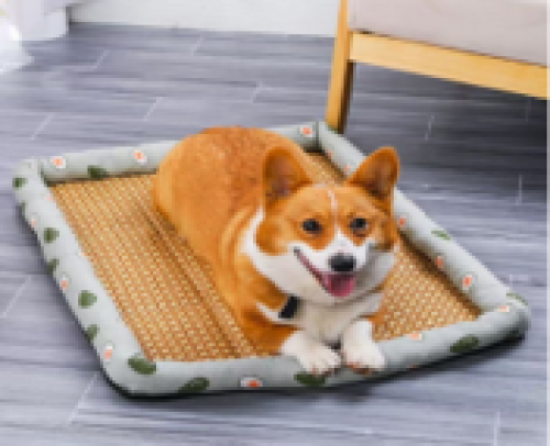 Planet Shaped Pet Cooling Mat Bed
