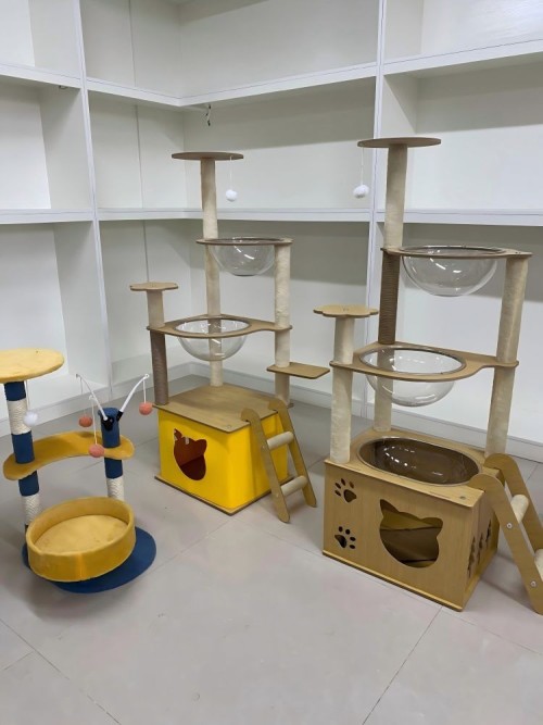 cat house & cat tree